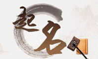 江城资产评估底稿系统3.0