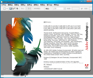 adobe photoshop cs 8.0 简体中文精简优化版