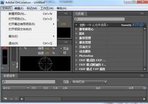 adobe onlocation cs4(视频录制和监视软件)中文