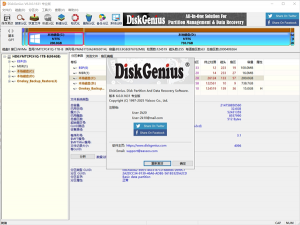 DiskGenius单文件专业版 v6.0.0.1631