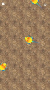 逗猫玩具app v1.8.5Android版